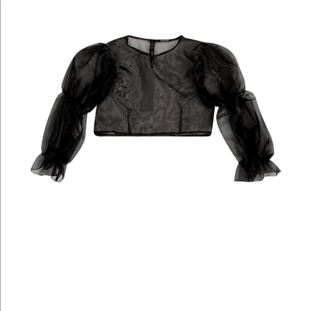๐ธ๐BOOHOO Petite Volume Sleeve Organza Top - Picture 6 of 6